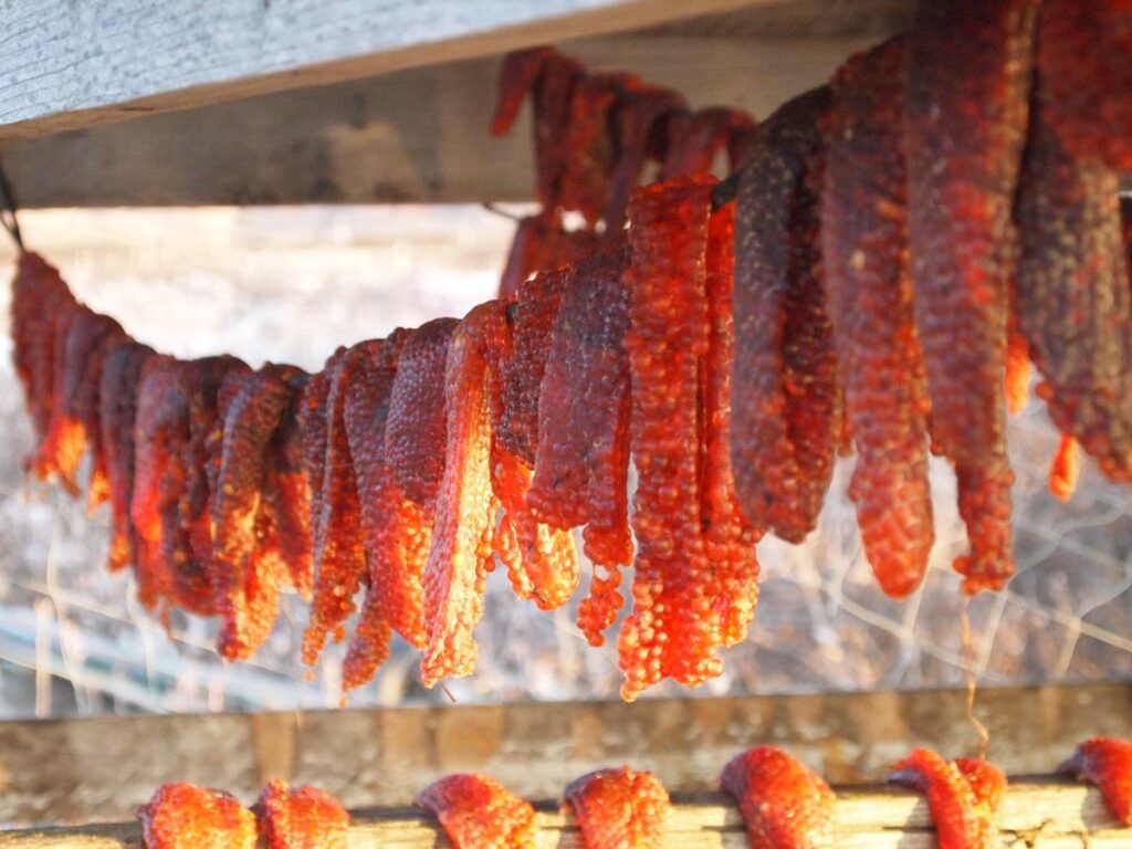 Salmon eggs on wire